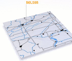 3d view of Nelson