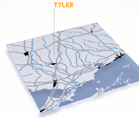 3d view of Tyler