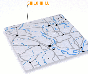 3d view of Shiloh Hill