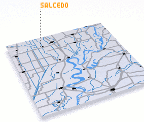 3d view of Salcedo