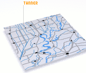 3d view of Tanner
