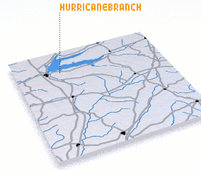 3d view of Hurricane Branch