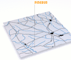 3d view of Pinebur