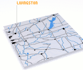 3d view of Livingston