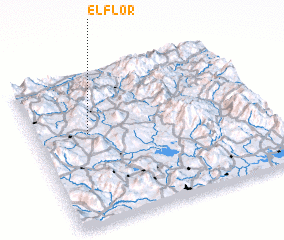 3d view of El Flor