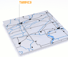 3d view of Tampico