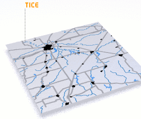 3d view of Tice