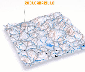 3d view of Roble Amarillo