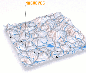 3d view of Magueyes