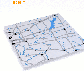 3d view of Maple