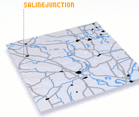 3d view of Saline Junction