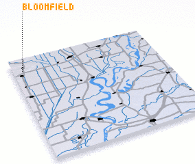 3d view of Bloomfield