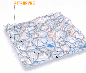 3d view of Pitahayas
