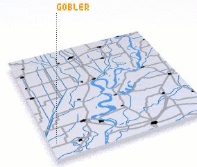 3d view of Gobler