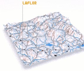 3d view of La Flor