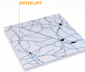 3d view of White Bluff