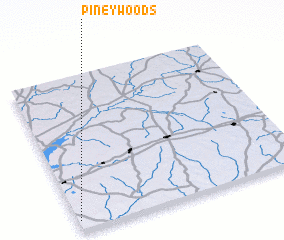 3d view of Piney Woods