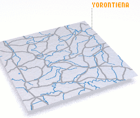 3d view of Yorontiéna
