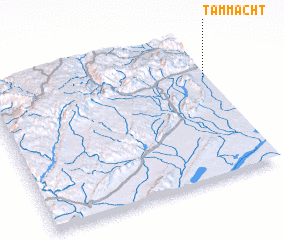 3d view of Tammacht