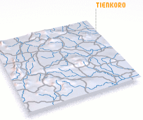 3d view of Tienkoro