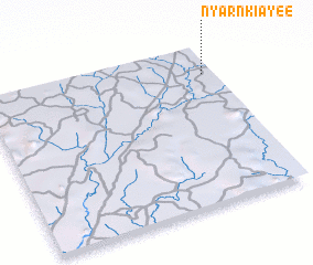 3d view of Nyarnkiayee