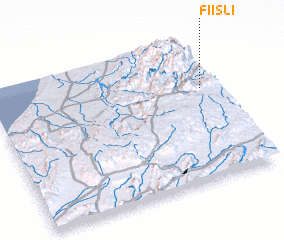 3d view of Fiisli