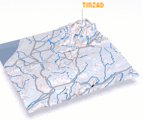 3d view of Tinzad