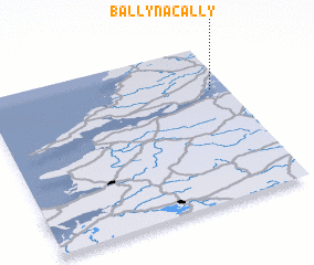 3d view of Ballynacally