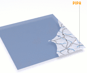 3d view of Pipa