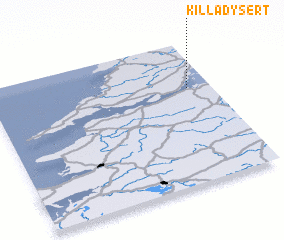 3d view of Killadysert