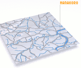 3d view of Manakoro