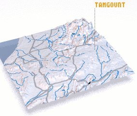 3d view of Tamgount