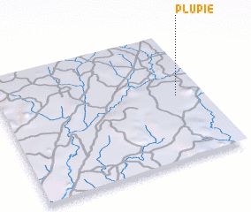 3d view of Plupie