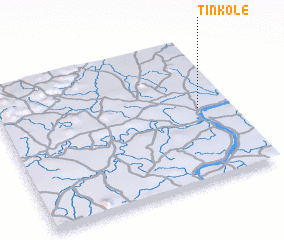 3d view of Tinkolé