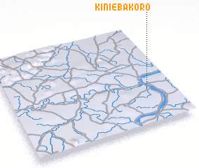 3d view of Kiniébakoro