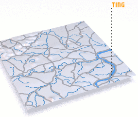 3d view of Ting