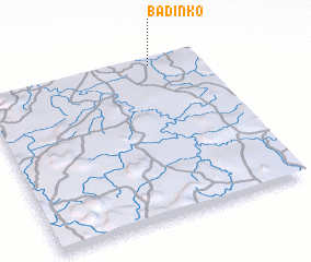 3d view of Badinko