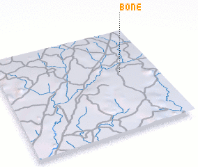 3d view of Bone