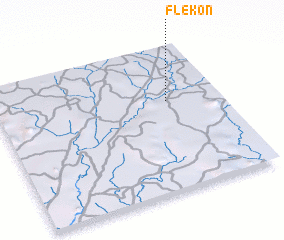 3d view of Flekon