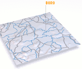 3d view of Boro