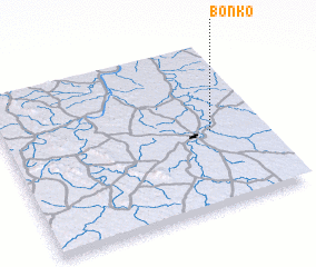 3d view of Bonko