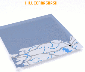 3d view of Killeennashask