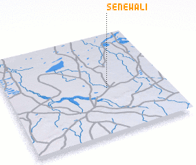 3d view of Sénéwali