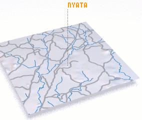 3d view of Nyata