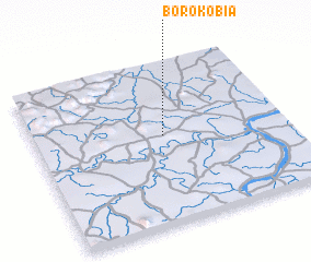 3d view of Borokobia