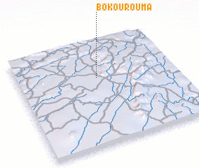3d view of Bokourouma