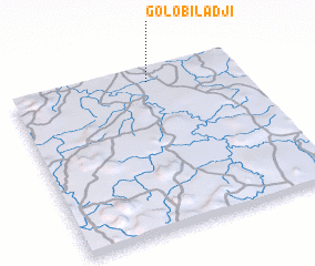 3d view of Golobiladji