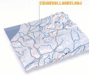 3d view of Sidi Abdallah Bel Haj