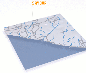 3d view of Sayour