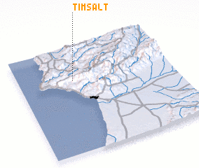 3d view of Timsalt